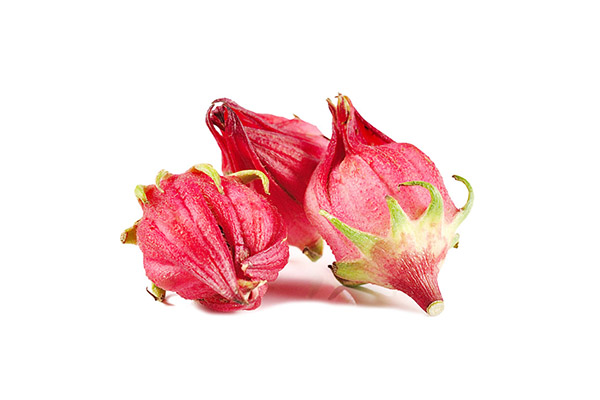 CHIẾT XUẤT HOA HỒNG DẠI